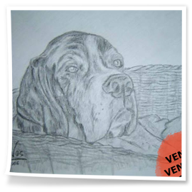 PERRO-VENDIDO