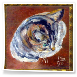 GATO-EN VENTA : 200 €