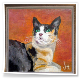 GATO-EN VENTA : 150 €