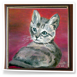 GATO-EN VENTA : 150 €