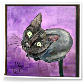 GATO-EN VENTA : 200 €