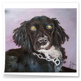 PERRO-EN VENTA : 200 €