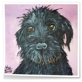 PERRO-EN VENTA : 200 €